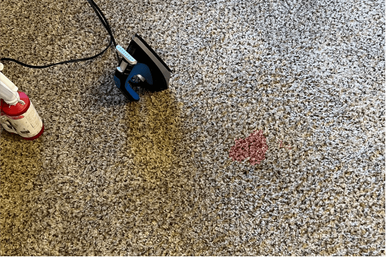 carpet cleaning before