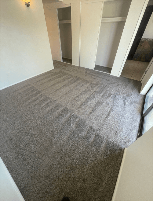 carpet cleaning tucson
