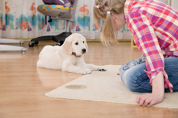 Baking Soda on Carpet for Dog Urine
