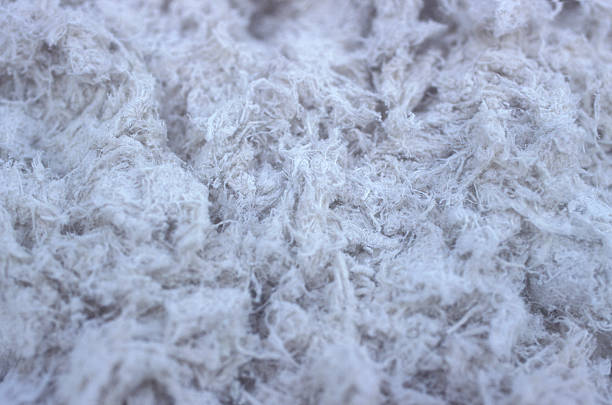 Asbestos in Carpet