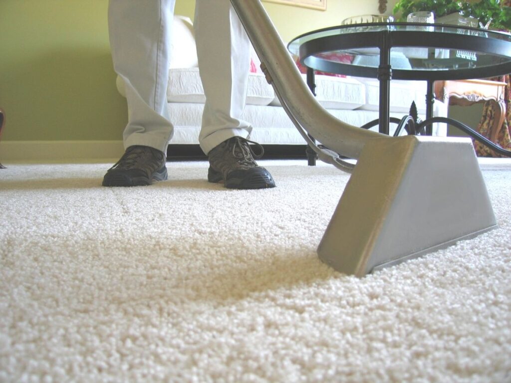 Professional Carpet Cleaning vs DIY – What’s Best for You