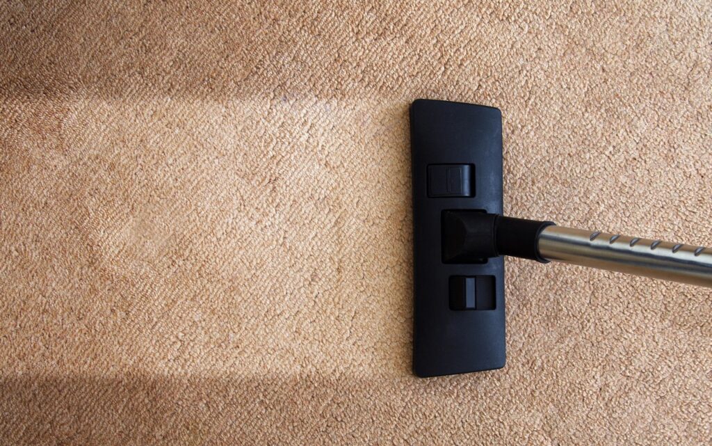 How to Choose the Right Professional Carpet Cleaning Company