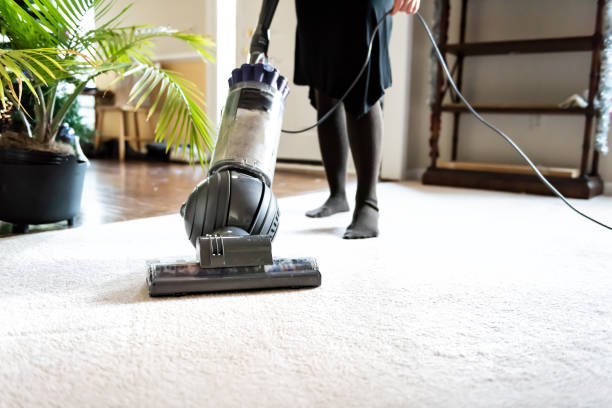 How to Save Money on Professional Carpet Cleaning