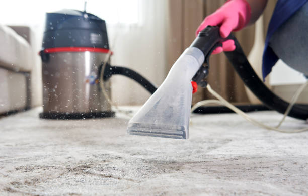Proven Stain Removal Techniques for Reviving Your Carpets
